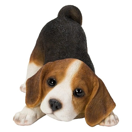 Realistic adorable crouching - adorable,