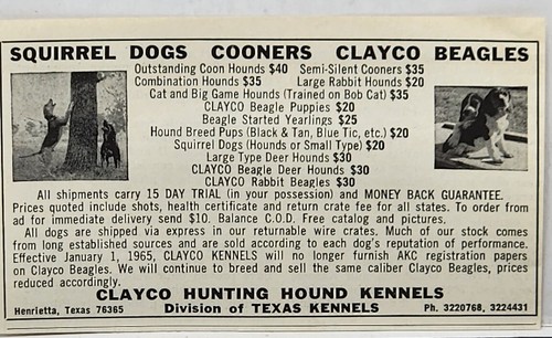 1964 clayco hunting hound - 1964,