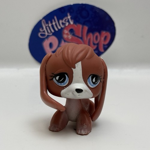 Beagle dog 567 authentic - beagle,