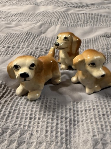 Vintage beagle spaniel - vintage, beagle/spaniel