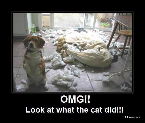 Funny beagle refrigerator - ,