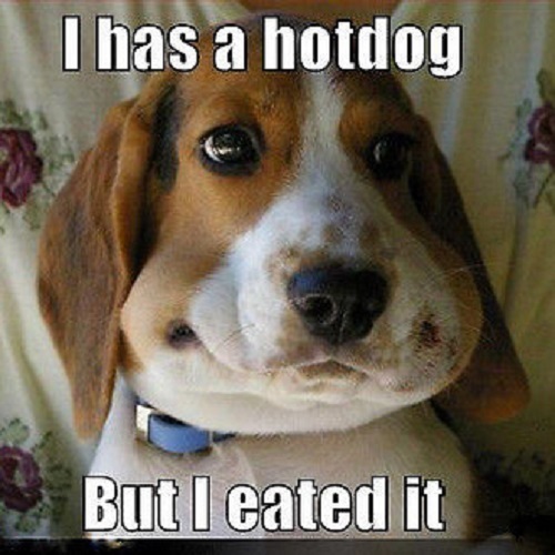 Funny beagle refrigerator - beagle,